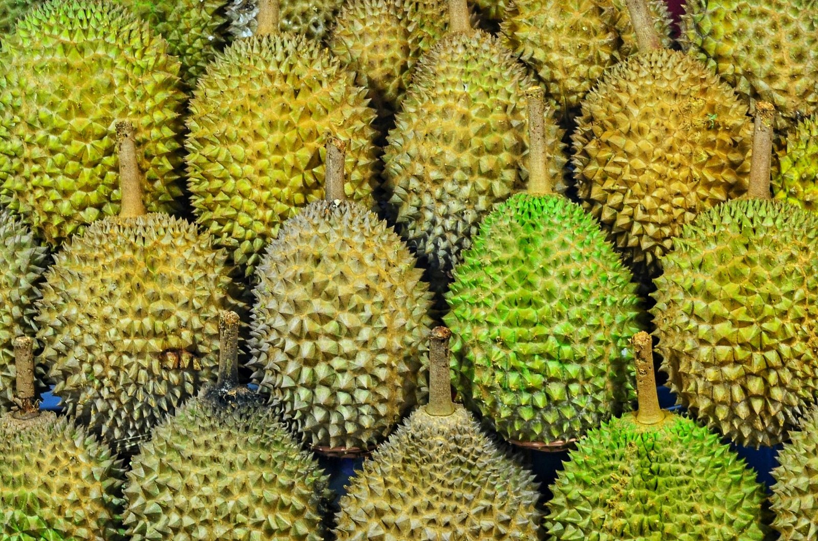 durian fruits