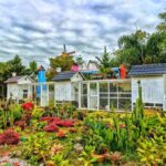 Green House Lezatta Bukittinggi