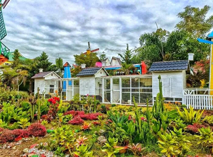 Green House Lezatta Bukittinggi