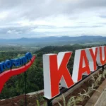 Panorama Kayu Kolek