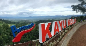 Panorama Kayu Kolek: Surga Tersembunyi di Lereng Gunung Sago, Limapuluh Kota