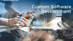 Custom software development