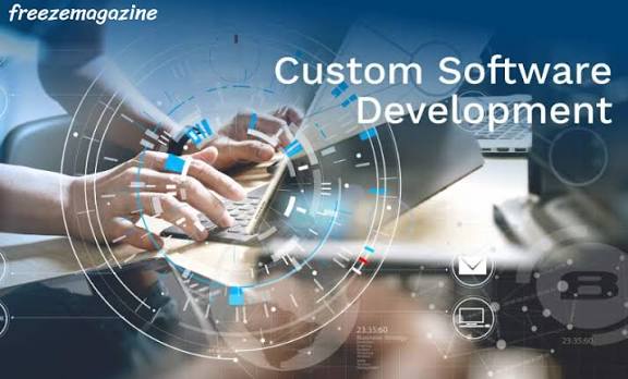 Custom software development