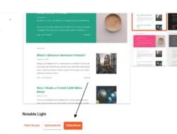 Cara Mengganti Tema Blogger, Banyak yang Salah Langkah di Awal