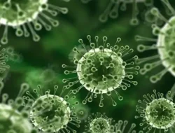 Virus Nipah: Ancaman Mematikan yang Jarang Disadari