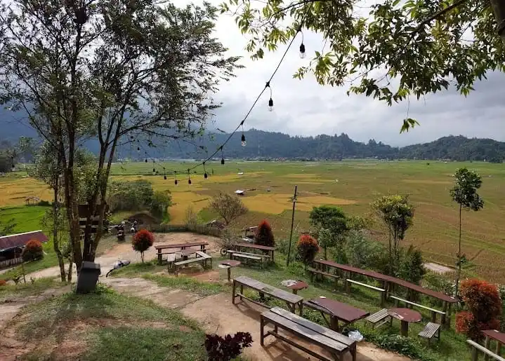 Kafe Pinggir Sawah Agam Viral, Teh Talua Tapai Jadi Daya Tarik