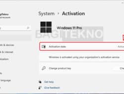 Aktivasi Windows 11 Permanen Tanpa Product Key