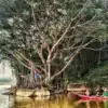 taman tirta sari kamang