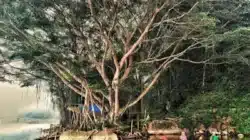 taman tirta sari kamang