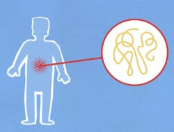 Berita Viral Hari Ini Indonesia Terbaru: 7 Fakta Mengejutkan yang Bikin Semua Orang Heboh!